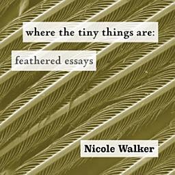 Icon image Where the Tiny Things Are: Feathered Essays