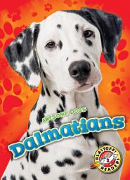 Icon image Dalmatians
