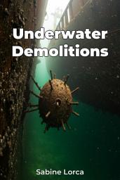 Icon image Underwater Demolitions