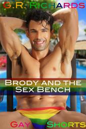 Icon image Brody and the Sex Bench