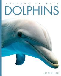 Icon image Dolphins
