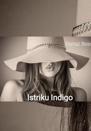 Icon image Istriku Indigo