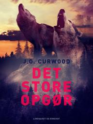 Icon image Det store opgør