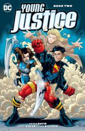 Icon image Young Justice (1998-2003)