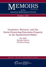 Icon image Geodesics, Retracts, and the Norm-Preserving Extension Property in the Symmetrized Bidisc