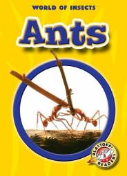 Icon image Ants
