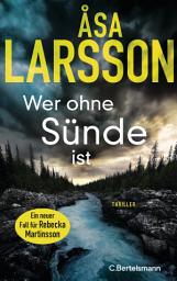 Icon image Wer ohne Sünde ist: Thriller. Der neue Thriller der Bestsellerautorin – ausgezeichnet als bester schwedischer Krimi des Jahres