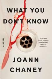 Icon image What You Don't Know: A Novel