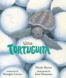 Icon image Una tortuguita