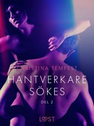 Icon image Hantverkare sökes Del 2 - erotisk novell