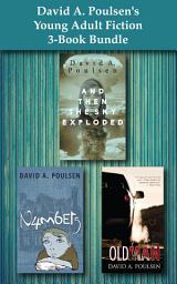 Icon image David A. Poulsen's Young Adult Fiction 3-Book Bundle: And Then the Sky Exploded / Numbers / Old Man