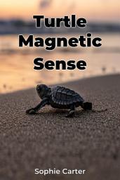 Icon image Turtle Magnetic Sense