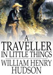Icon image A Traveller in Little Things