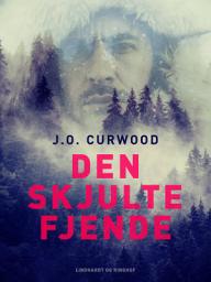 Icon image Den skjulte fjende