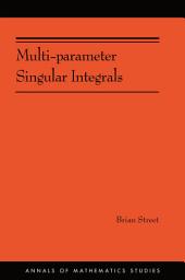 Icon image Multi-parameter Singular Integrals, Volume I
