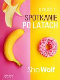 Icon image Spotkanie po latach 1 – opowiadanie erotyczne: Tom 1