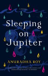 Icon image Sleeping on Jupiter: A Novel