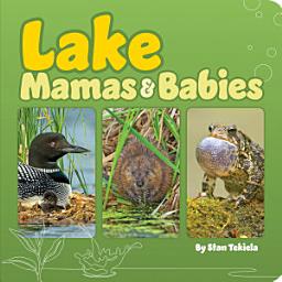 Icon image Lake Mamas & Babies