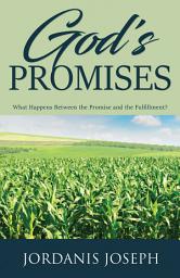 Icon image God's Promises: What Happens Between the Promise and the Fulfillment?