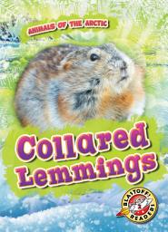 Icon image Collared Lemmings