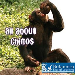 Icon image All About Chimps