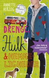 Icon image Drenge, hulk og hemmeligheder