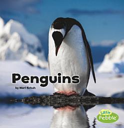 Icon image Penguins