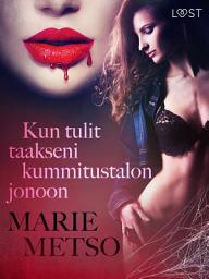 Icon image Kun tulit taakseni kummitustalon jonoon - eroottinen novelli