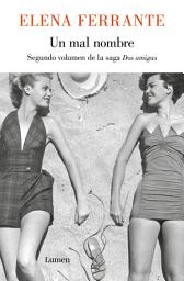 Icon image Un mal nombre (Dos amigas 2)
