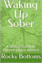 Icon image Waking Up Sober