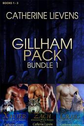 Icon image Gillham Pack Bundle 1