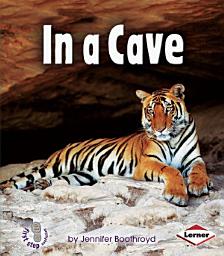 Icon image In a Cave