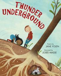 Icon image Thunder Underground