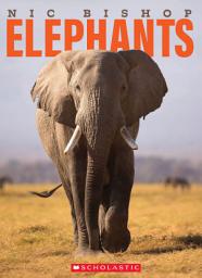Icon image Nic Bishop Elephants
