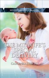 Icon image The Midwife's Special Delivery