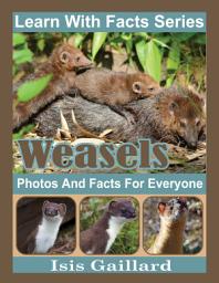 Icon image Weasels Photos and Facts for Everyone: Amazing Animal Pictures in Nature