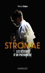 Icon image Stromae: Les dessous d'un phénomène