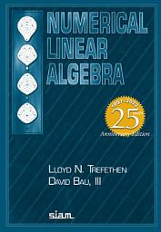 Icon image Numerical Linear Algebra: Twenty-Fifth Anniversary Edition