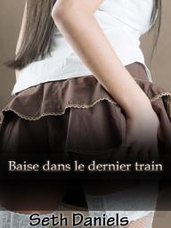 Icon image Baise dans le dernier train: Une fantaisie érotique entre une femme mature et un jeune homme