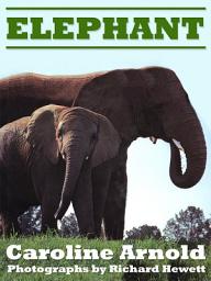 Icon image Elephant