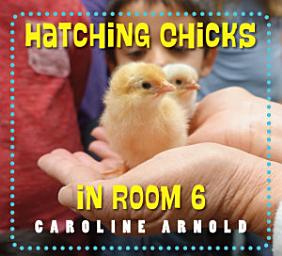 Icon image Hatching Chicks in Room 6