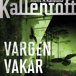 Icon image Vargen vakar i mörkret