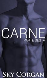 Icon image Carne: Parte Sesta
