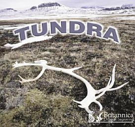 Icon image Tundra