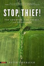 Icon image Stop, Thief!: The Commons, Enclosures, and Resistance