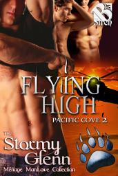 Icon image Flying High [Pacific Cove 2]