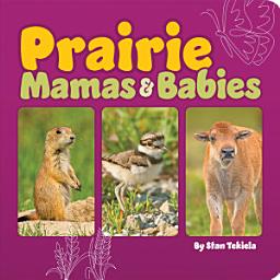 Icon image Prairie Mamas & Babies