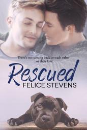 Icon image Rescued: A Coming Out, Bisexual Romance