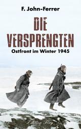 Icon image Die Versprengten: Ostfront im Winter 1945