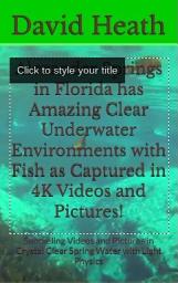Icon image Alexander Springs in Florida has Amazing Clear Underwater Environments with Fish as Captured in 4K Videos and Pictures!: Snorkeling Videos and Pictures from Florida's Natural Cold Springs Featuring Fish